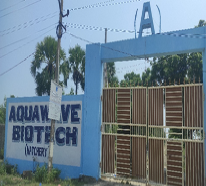 AQUA WAVE BIOTECH PVT LTD 2002024002