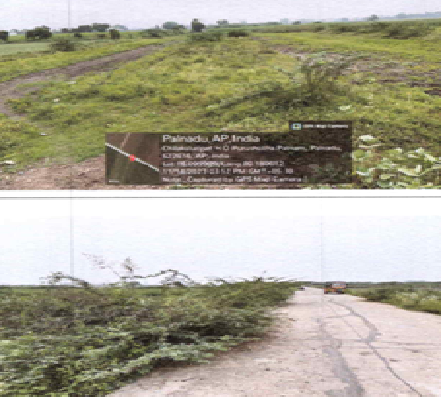 Balaji Cotton Traders-1903024002