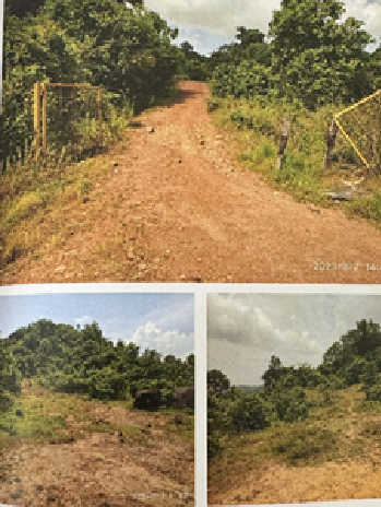 BAVA INFRA PROP 2-18062501