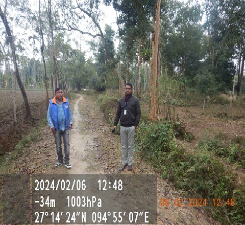 DOLPHIN FRONTLINE-17072401