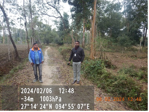 Dolphin Frontline 73251