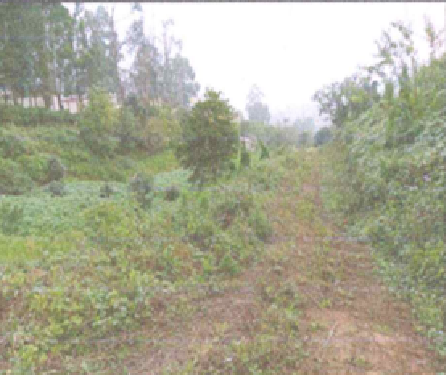 Enlite Energy 116240