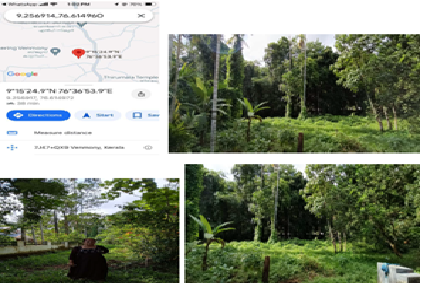 GETECH - KERALA PROPERTIES- SALE -25