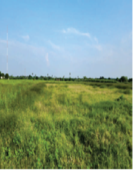 Jayam Oil Mills 12jun240