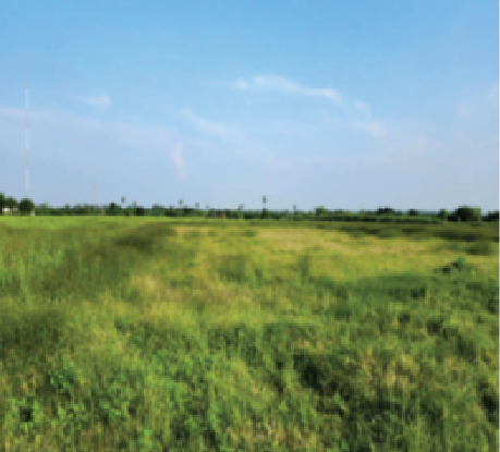 Jayam Oil Mills 200302024002