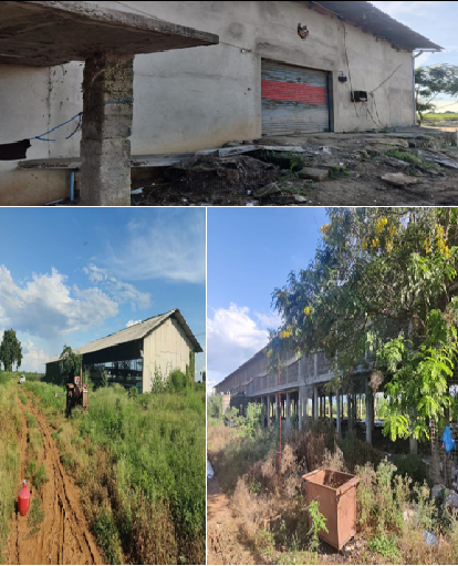 K BALARAMUDU-28112401