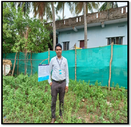 Maheswara Fal G 38241