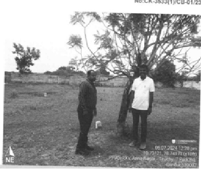 MAXICAN EXPORTS 411243