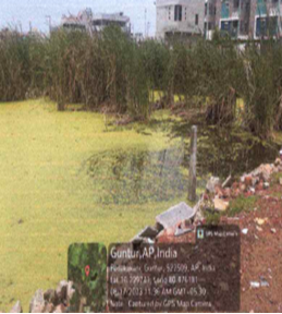 Ms Balaji Colours-27022403