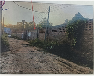 Ms Delux Enterprises 89251