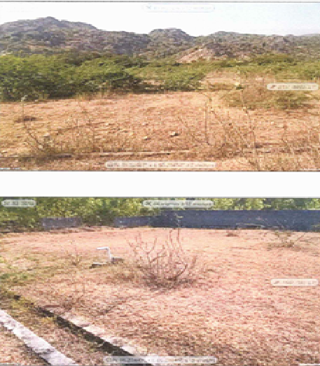 Navya Traders-1903024002