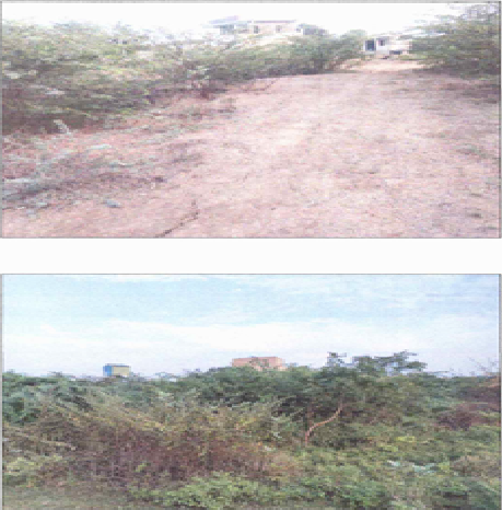 Navya Traders-1903024003