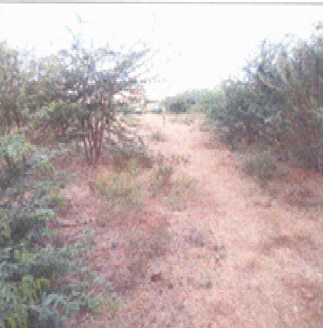 Navya Traders-1903024004