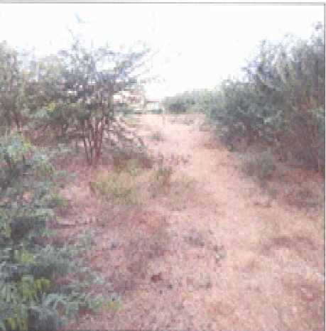 Navya Traders-1903024005