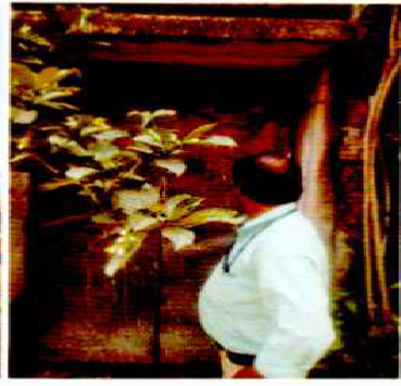 Prakas Majhi 0705024002