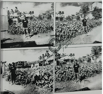 PRANITA ENTERPRISE 185240