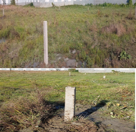 RAJIV ENTERPRISE 28032024002