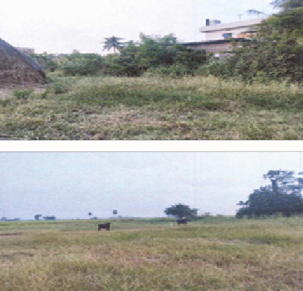 Sai Sri Cotton Corporation002