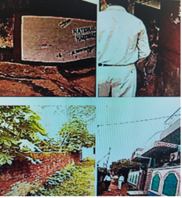 SAREE POINT-16032402