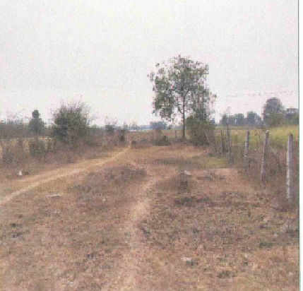 Seapearls Industries002