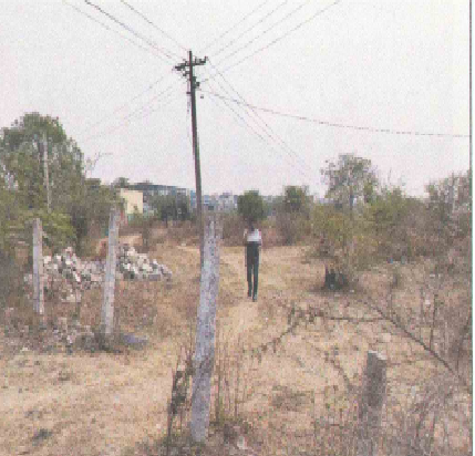 Seapearls Industries004