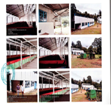 Springdale Tea Factory Co_1