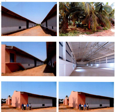 SRI_PALANIANDAVAR_POULTRY_FARM1