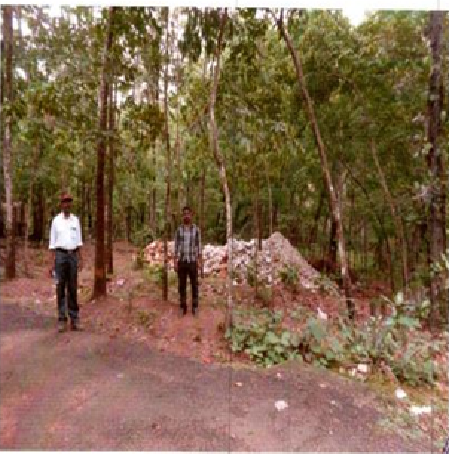 SS furniture-30092401