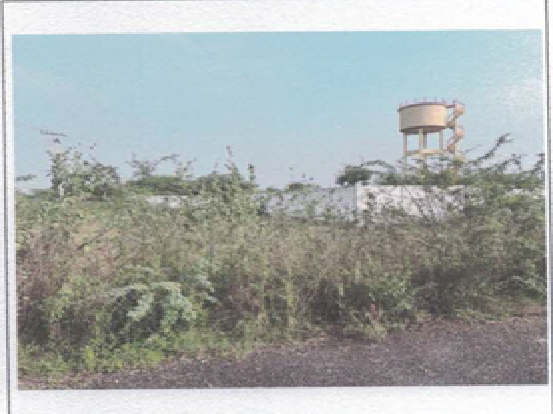 VLM Traders 15030240010