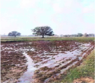 VV Poultries Sale Notice 0102024 (2)01