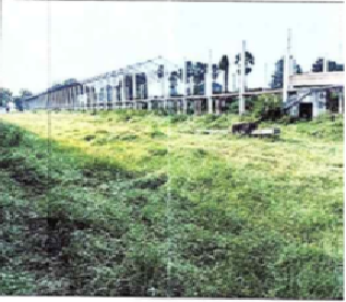 VV Poultries Sale Notice 010202401