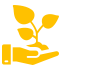 Life Insurance Plans and Policies